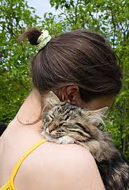 images (19)