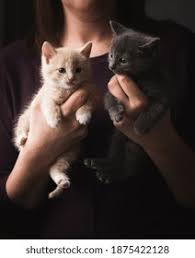 images (20)