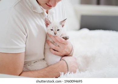 young-man-holds-small-white-260nw-1960094695